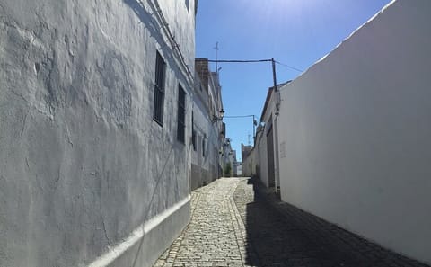 Cádiz and Jerez Day Tour from Seville with Tastings