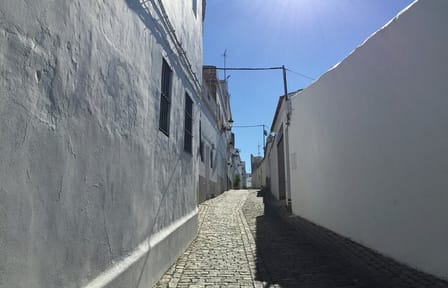Cádiz and Jerez Day Tour from Seville with Tastings