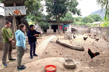 1 Day Visit Mua Cave – Trang An – Local Family – Cyling – Hoa Lu