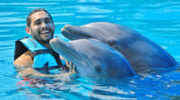 Dolphin Royal Connection  and manatee interaction en Cozumel 9