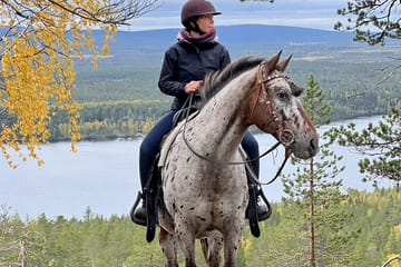 Horseback Riding Tour to Soutaja Fell in Kemijärvi