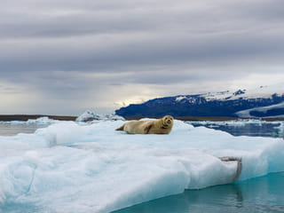 6 Day - Iceland Ring Road, photo 20