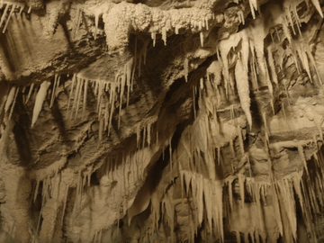 02waitomocaves