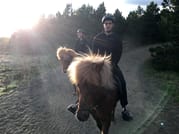 Viking Horses Sleipnir Evening Tour 5