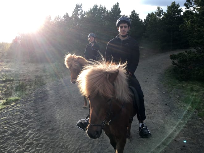 Viking Horses Sleipnir Evening Tour photo 5
