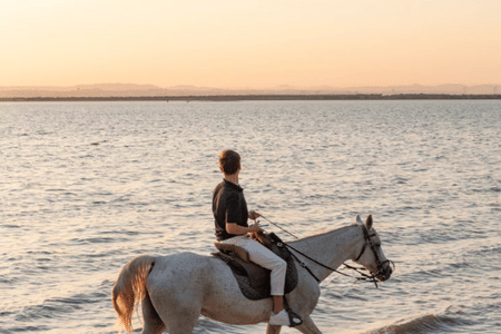 Sunset Beach Horseback Ride