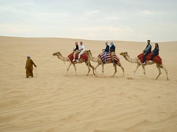 Camel Ride