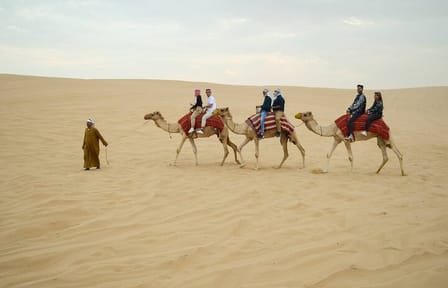 Private Evening Desert Safari Adventure in Dubai