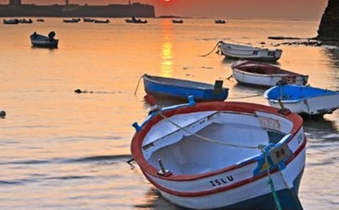 Private Full Day Tour of Cádiz and Jerez from Seville