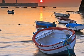 Private Full Day Tour of Cádiz and Jerez from Seville