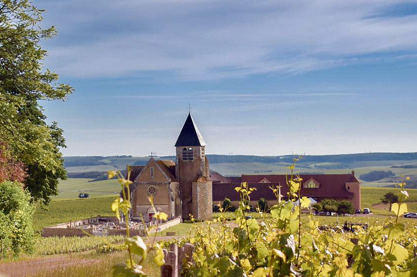 Private Burgundy Full-Day Wine Trip From Paris By Minivan