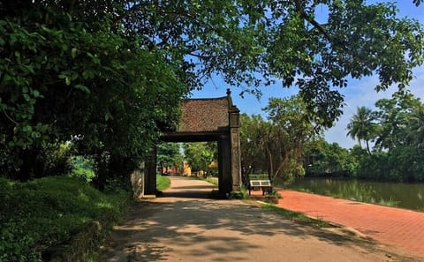 Duong Lam Ancient Village and Local Life Private Day Tour