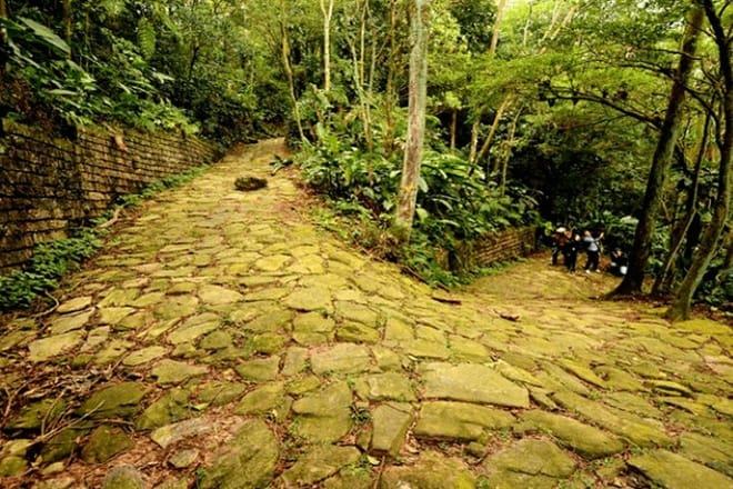 Sao Paulo: Eco Private Tour Through ATlantic Forest, Valleys, Set of Hills  8