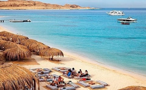 Day Trip to Ain El Sokhna on the Red Sea from Cairo