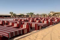 Desert Safari -Premium Package with 5 Star Experience from Dubai 5