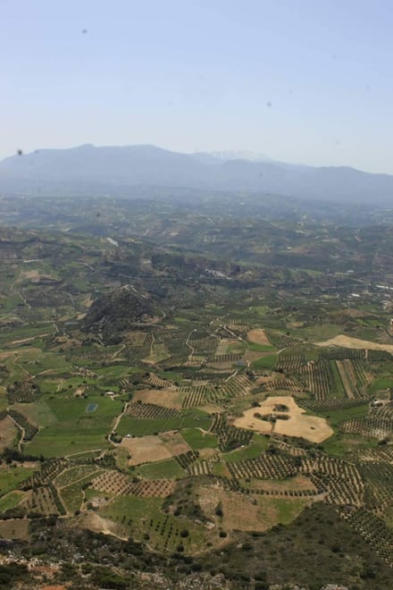 Experience the Minoan grapes at a local vineyard 4