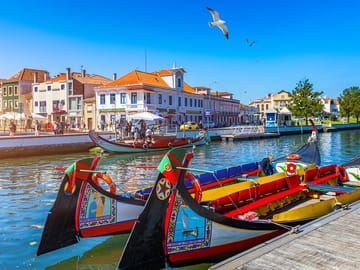 Ria de Aveiro - Moliceiro Traditional Boats