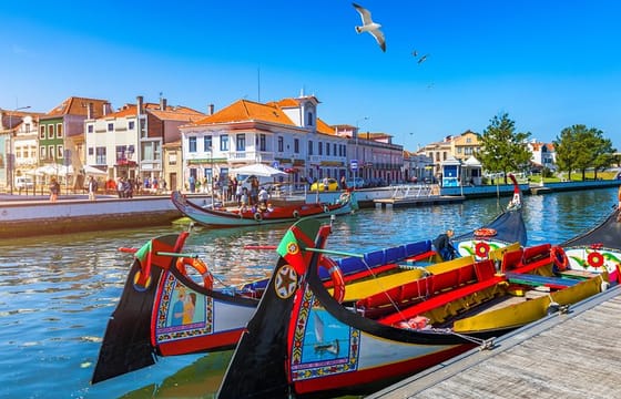 From Porto: Aveiro Half-Day Tour with Moliceiro River Cruise