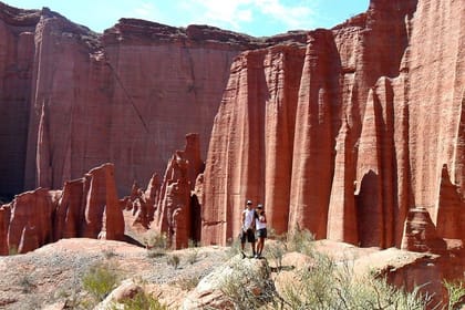 4-Day Tour in San Juan: Valley of the Moon & Talampaya Canyon