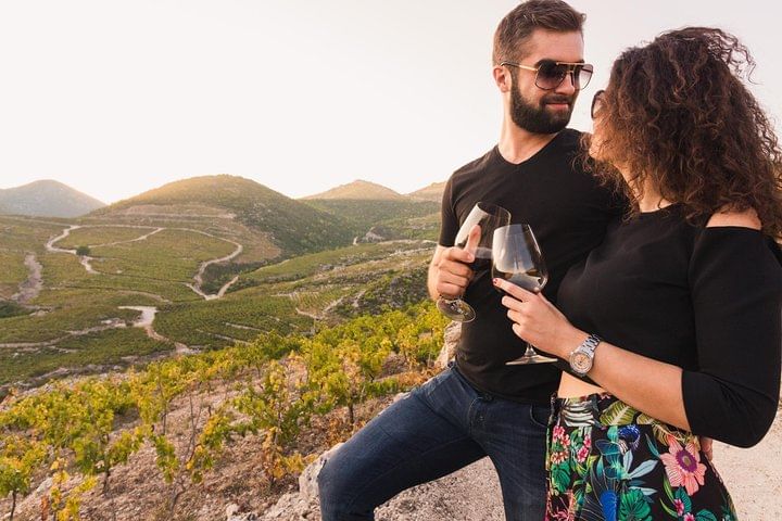 Private Wine Lover's Tour of Peljesac Peninsula