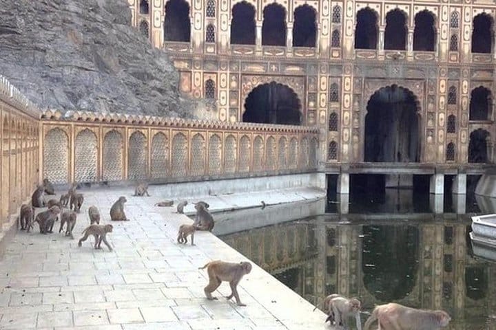 Jaipur Heritage walk Tour