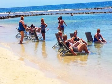 Roatan Sun & Fun, Sloths & Monkeys, Beach & Private Transfer