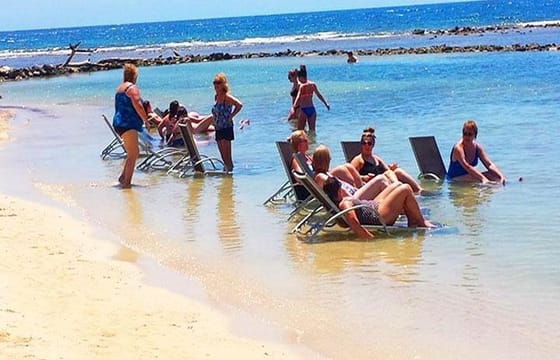 Roatan Las Palmas Beach Club, FREE Sloths & Monkey, Private Transportation