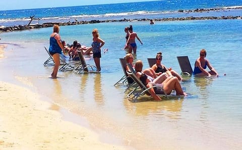 Roatan Beach Club Experience with Sloths and Monkeys