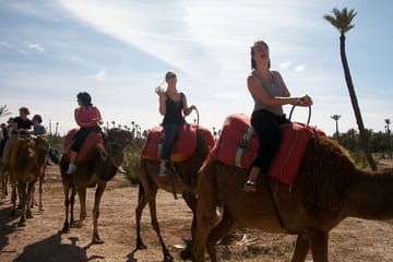 Camel Ride Through Marrakech Palm Grove Oasis