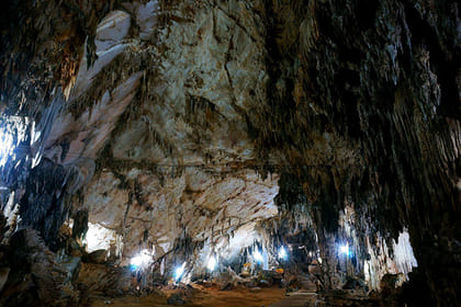 Ba Be National Park Jungle Trails Trekking 2-day