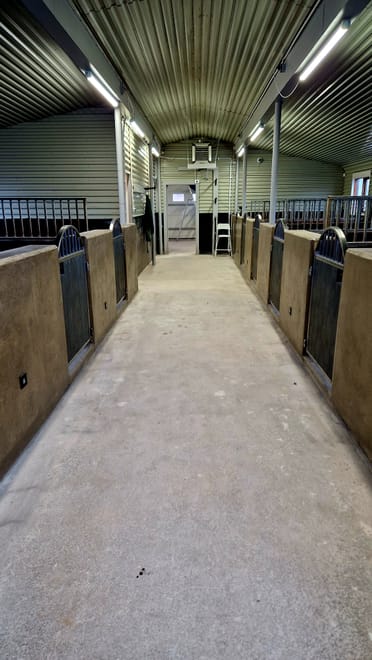 Horse Riding Tour in Reykjadalur (Hot Spring Valley) 