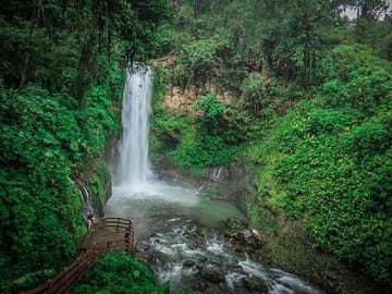 La Paz Waterfalls Half-Day Tour from San José, Costa Rica
