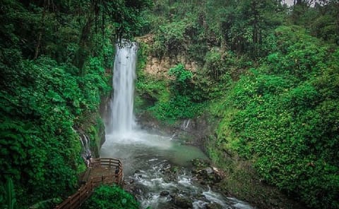 La Paz Waterfalls Half-Day Tour from San José, Costa Rica