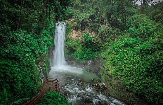 La Paz Waterfalls