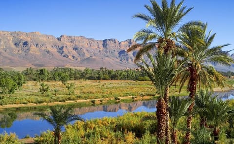 Two-Day Shared Desert Tour from Marrakesh to Ouarzazate