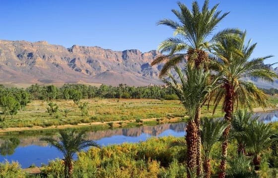 Marrakesh shared desert tour 2 days