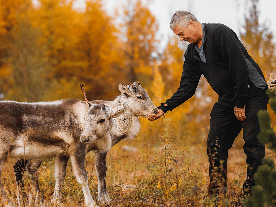 From Antlers to Ancestors: East Iceland's Reindeer and History Tour — East Highlanders
