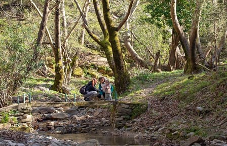 Hiking Tour to Alama Falls in Evdilos, Greece