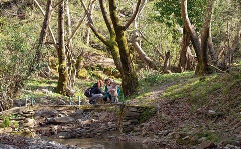 Hiking Tour to Alama Falls in Evdilos, Greece