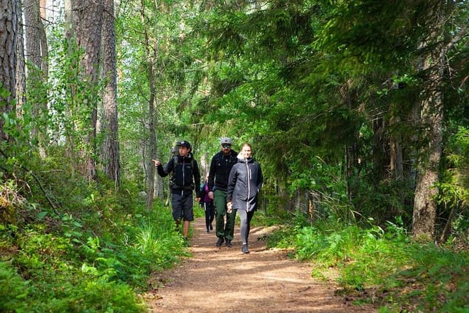 Magical Taiga Forest Hike 5
