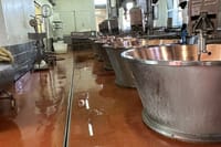 FullDay Super Cars, Parmesan, Balsamic Day Tour+Lunch 4