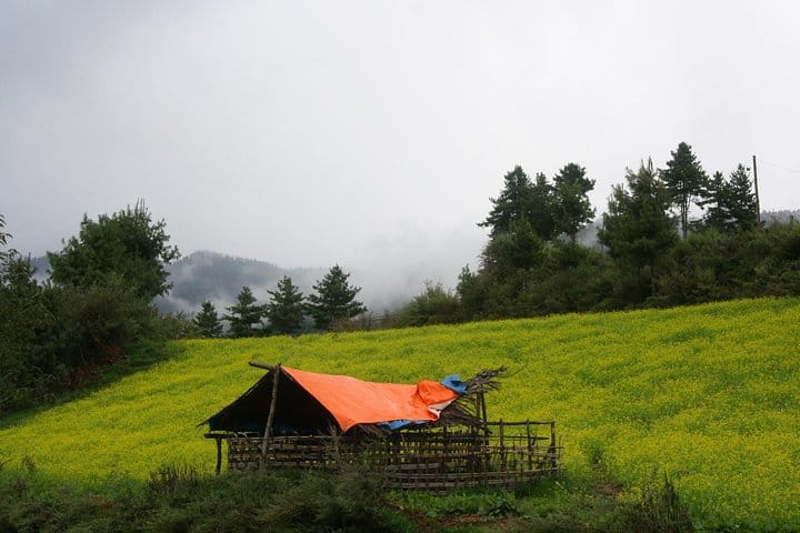 19 Days Mera Peak Climbing & Expedition – One Life-Changing Himalayan Adventure