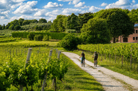 E-Bike Tour and Wine Tasting from Bardolino 1