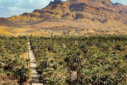 Private 3-Day Sahara Desert Tour – Luxury Camp & Camel Trek