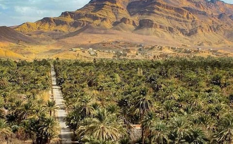 Private 3-Day Luxury Sahara Desert Tour from Marrakesh