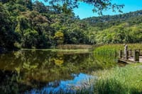 Walk to the Big Rock in Cantareira State Park: Optional airport pick-up 10