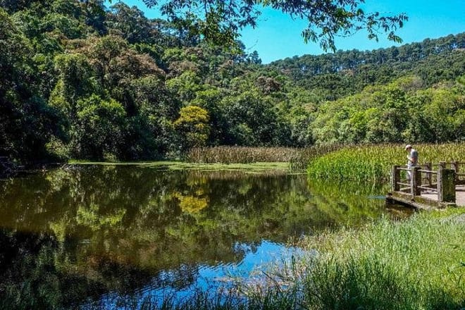 Walk to the Big Rock in Cantareira State Park: Optional airport pick-up 10