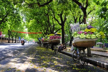 8-Day Adventure Tour of Hanoi, Halong Bay, and Huế