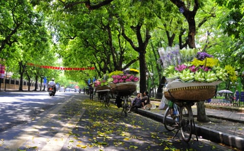 8-Day Adventure Tour of Hanoi, Halong Bay, and Huế