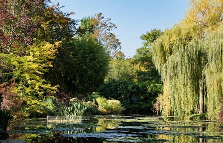 Giverny Day Trip: Explore Monet's House and Gardens